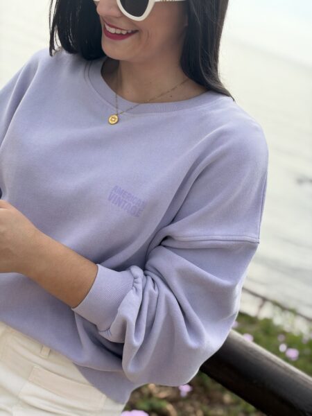 SUDADERA AMERICAN VINTAGE JITBAY PARME